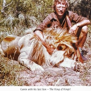 Gavin Blackbeard and his incredible lion-Botswana.jpeg