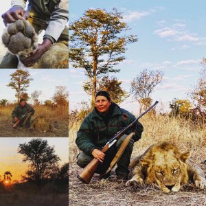 Lion Hunting Zimbabwe