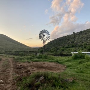 Karoo Scenerey South Africa