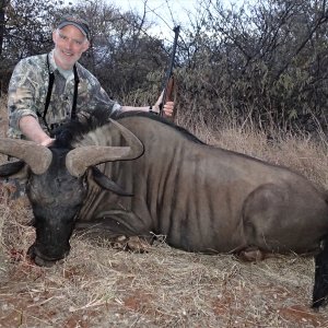 Hunting Blue Wildebeest Limpopo South Africa