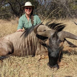 Blue Wildebeest Hunting South Africa