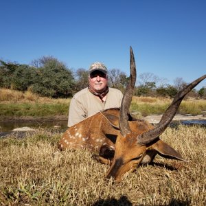 Chobe Bushbuck Hunt Matetsi Zimbabwe
