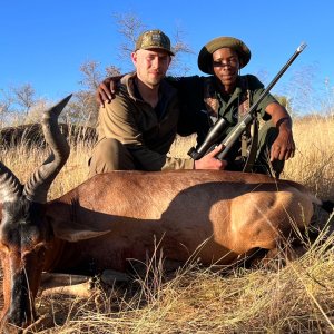 Red Hartebeest Hunting Namibia