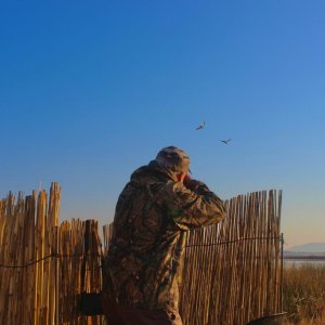 Waterfowl shooting South Africa