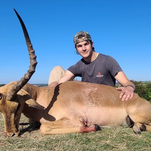 Impala Hunt Eastern Cape South Africa