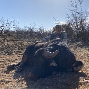 Water Buffalo Hunt Texas