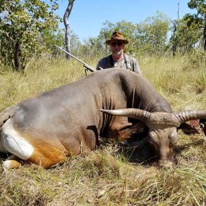 A true trophy Banteng guided by Karl Goodhand