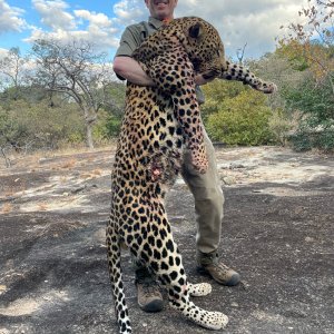 Hunting Leopard Zimbabwe