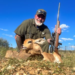 Steenbok Hunt Namibia