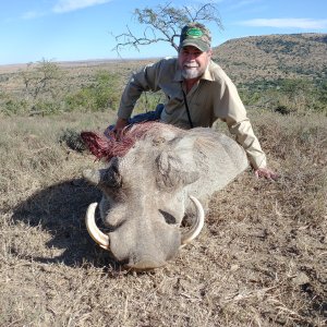 Warthog Hunt  Easten Cape South Africa