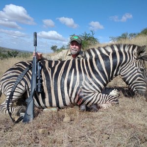 Zebra Hunt  Easten Cape South Africa