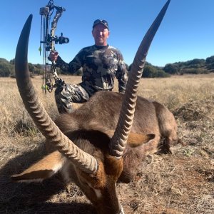 Waterbuck Bow Hunt Free State Province South Africa