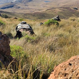 Stalking Vaal Rhebuck South Africa