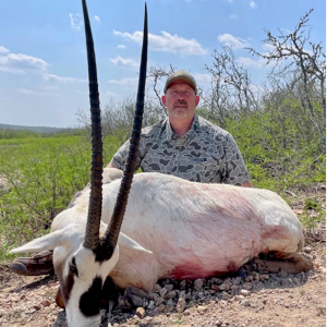 Arabian Oryx Hunt Texas