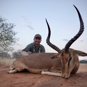 Impala Hunting