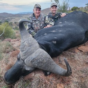 Buffalo Hunting Eastern Cape South Africa