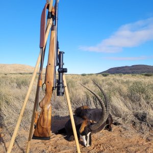 Sable Hunting South Africa