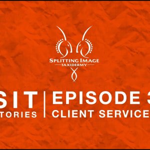 Episode 3 - Client Service With Splitting Image Taxidermy