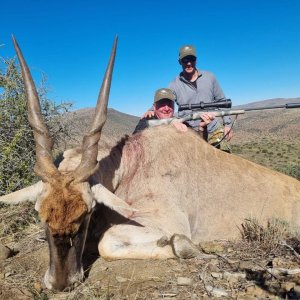 Eland Hunting Karoo South Africa