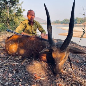 Chobe Bushbuck Hunt Zambia
