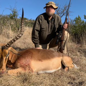 Impala Hunting