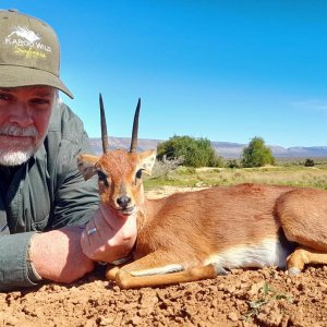 Steenbok Hunting South Africa