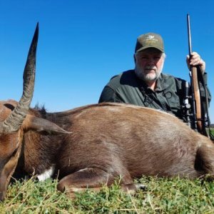 Bushbuck Hunting South Africa