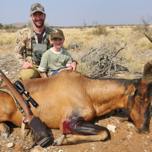 Red Hartebeest Hunt Namibia