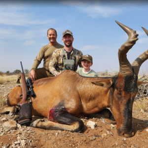 Red Hartebeest Hunt Namibia