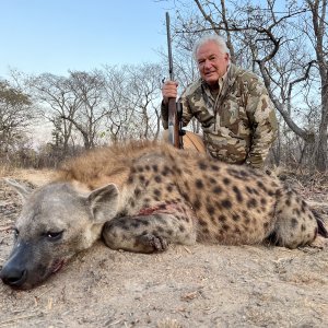 Hunting Spotted Hyena Zambia