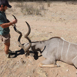 Kudu Hunt Namibia