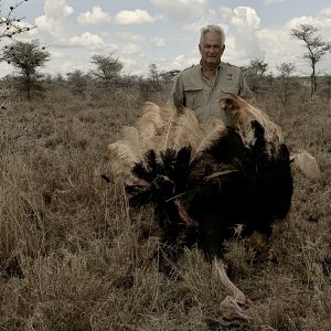 Ostrich Hunt Tanzania