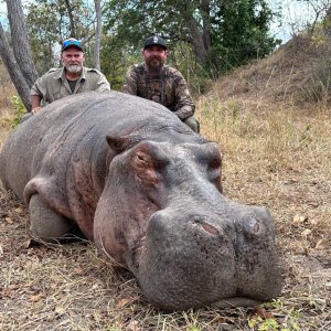 Hunting Hippo Tanzania