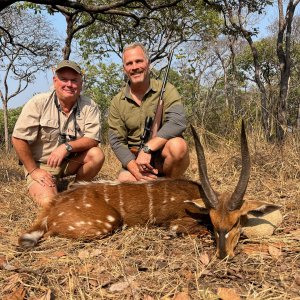 Bushbuck Hunting Zambia