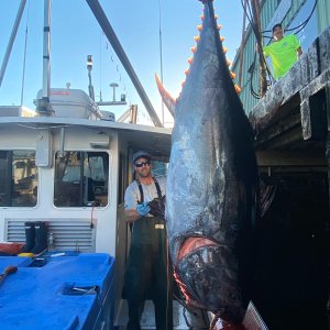120 Inch Tuna Fishing East Coast