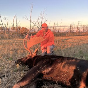 Hunting Moose Canada