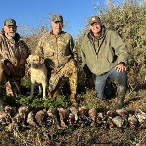 Duck Hunting Idaho