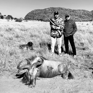 Golden Wildebeest Hunt