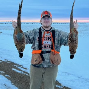 Pheasant Hunting Minnesota