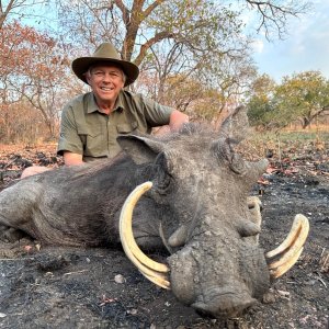 Warthog Hunt Niassa Mozambique