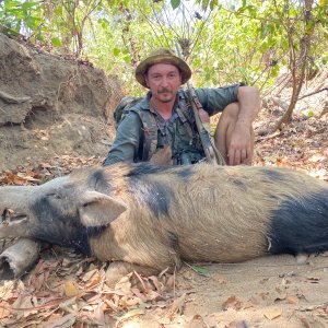 Pig Hunt Northern Territory Australia