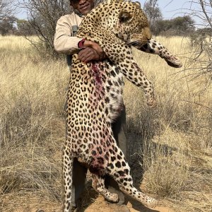 Botswana Leopard Hunt