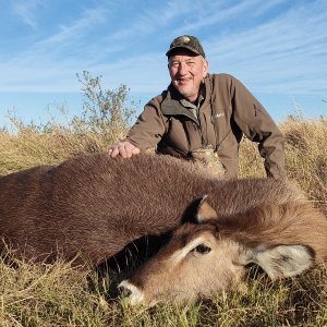 Waterbuck Cow Hunt Eastern Cape South Africa