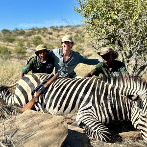 Hartmann's Mountain Zebra Hunt Namibia