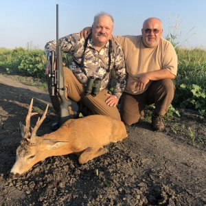 Roe Deer Hunt Serbia