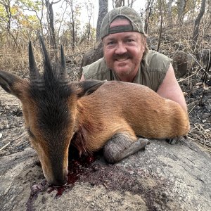 Duiker Hunt Cameroon