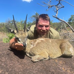 Klipspringer Hunt Limpopo South Africa