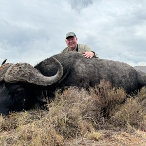 Buffalo Hunt South Africa