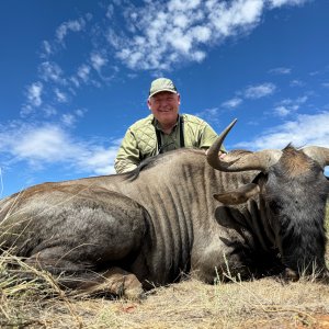 Blue Wildebeest Hunt South Africa