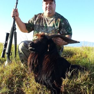 Hunting Goat Big Island Hawaii